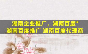 湖南企业推广，湖南百度公司 湖南百度推广 湖南百度代理商